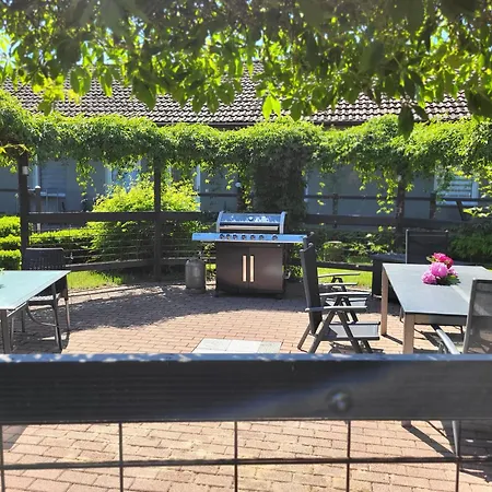 11 Haselnuss - Hof Wiesengrund