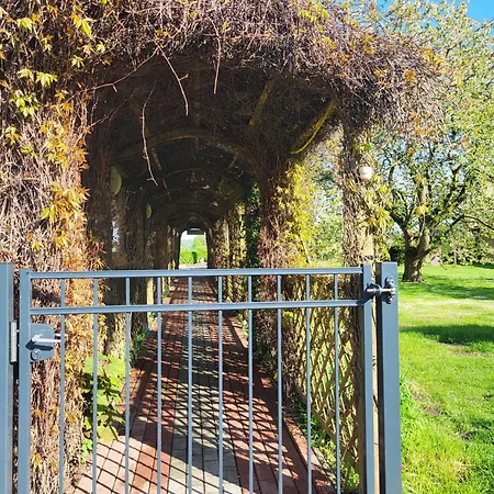 11 Haselnuss - Hof Wiesengrund