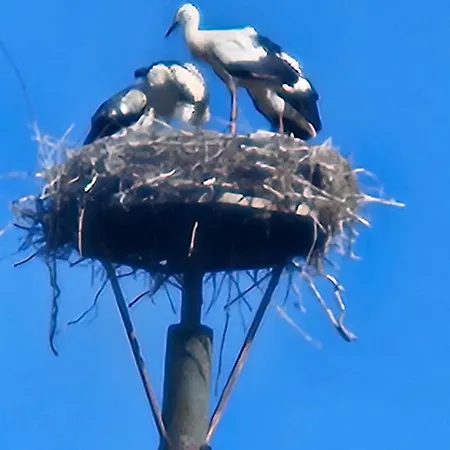 11 Haselnuss - Hof Wiesengrund דירה Parchtitz