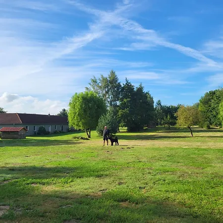 11 Haselnuss - Hof Wiesengrund *