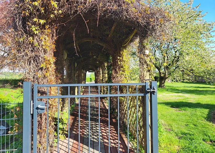 11 Haselnuss - Hof Wiesengrund