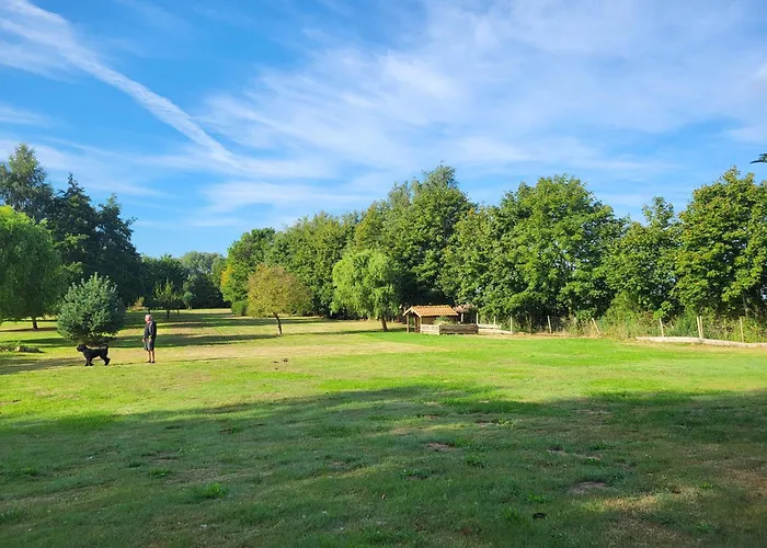 11 Haselnuss - Hof Wiesengrund Parchtitz